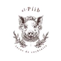 EL PIIB TACOS DE COCHINITA