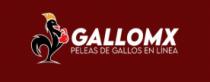 GALLO MX