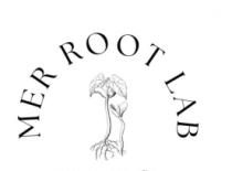 MER ROOT LAB
