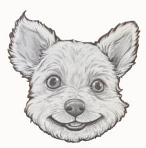 ORIZABA PETS