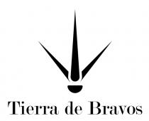 TIERRA DE BRAVOS