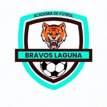 ACADEMIA DE FUTBOL BRAVOS LAGUNA