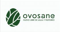 OVOSANE
