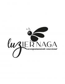 LUZIERNAGA ACOMPAÑAMIENTO EMOCIONAL (Y DISEÑO)