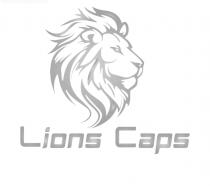 LIONS CAPS