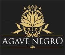 AGAVE NEGRO