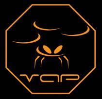 VIGILANTE AEREO PRIVADO VAP