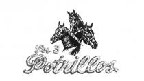 LOS 3 POTRILLOS Y DISEÑO