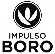 IMPULSO BORO
