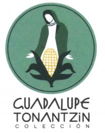 GUADALUPE TONANTZIN COLECCIÓN
