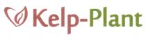 KELP-PLANT