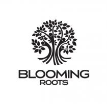 BLOOMING ROOTS