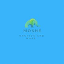 MOSHÉ ORQUÍDEAS Y MAS