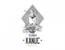 SLIJUALA XANUC