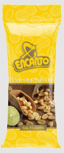 ENCANTO CACAHUATE SAL Y LIMON