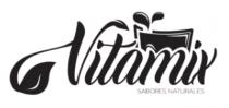 VITAMIX SABORES NATURALES