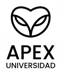 UNIVERSIDAD APEX