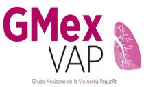 GMEX VAP GRUPO MEXICANO DE LA VÍA AÉREA PEQUEÑA