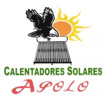 CALENTADORES SOLARES APOLO