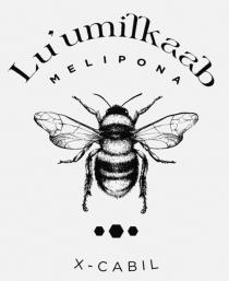 LU'UMILKAAB