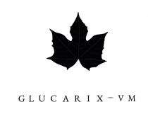 GLUCARIX-VM