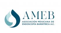 AMEB ASOCIACIÓN MEXICANA DE ENDOSCOPÍA BARIÁTRICA A.C.