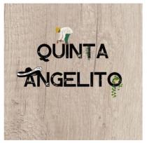 QUINTA ANGELITO