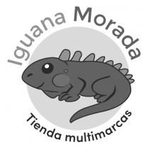 IGUANA MORADA