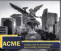 ACME CONSULTOR EN PENSIONES Y SOLUCIONES INTEGRALES