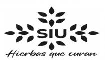 SIU HIERBAS QUE CURAN