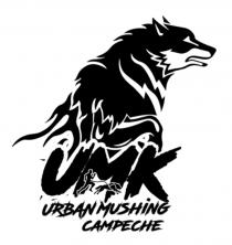 URBAN MUSHING CAMPECHE