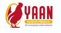 YAAN HUEVO FRESCO