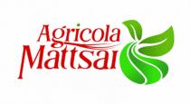 AGRICOLA MATTSAI