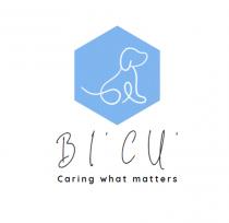 BI'CU' CARING WHAT MATTERS