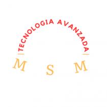 TECNOLOGIA AVANZADA MSM