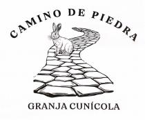 CAMINO DE PIEDRA