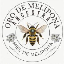 ORO DE MELIPONA ANCESTRAL