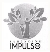 FUNDACIÓN IMPULSO