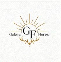 GALERIA FLORES