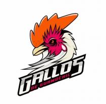 GALLOS DE GUAMUCHIL