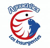 AGUACHILES LOS INSURGENTES