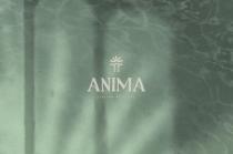 WN ANIMA ITALIAN ATTITUDE