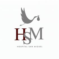 HSM HOSPITAL SAN MIGUEL