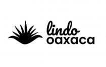 LINDO OAXACA