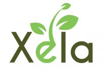 XELA