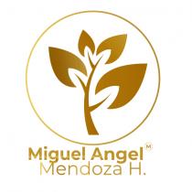 MIGUEL ANGEL MENDOZA H. M