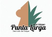 REAL TLACHIQUE