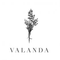 VALANDA; RAMO DE PLANTAS DE LAVANDA UNIDAD POR UNA CUERDA