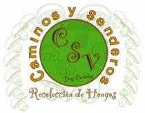 CAMINOS Y SENDEROS RECOLECCIÓN DE HONGO Y SENDERISMO