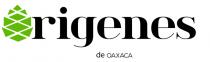 ORIGENES DE OAXACA